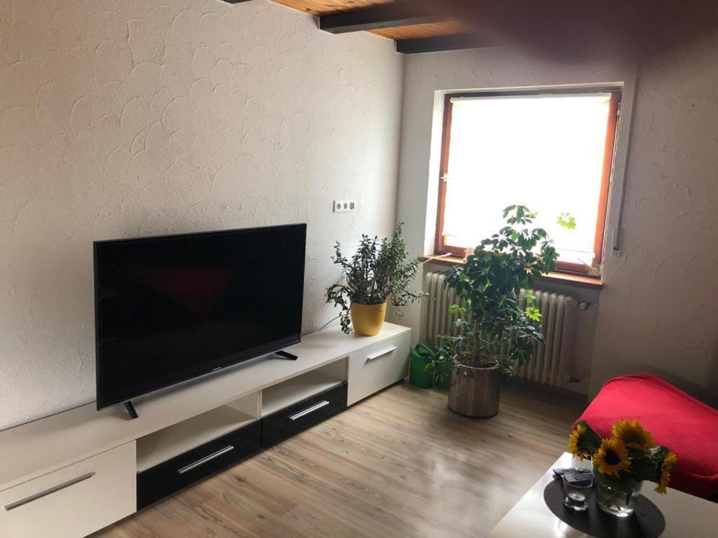 Ferienwohnung Zur Sonnenterasse In Gersbach 쇼프하임 외부 사진